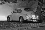 CRW_3577