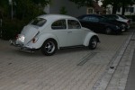 IMG_2029.jpg