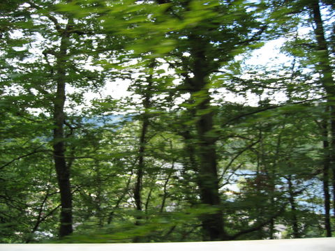 spa0044.JPG
