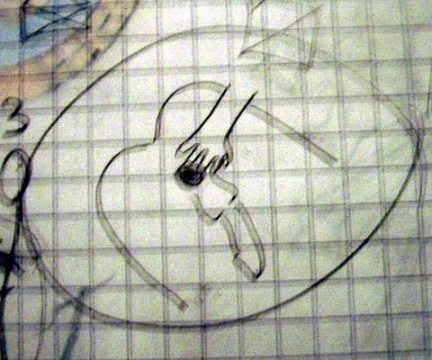 maerz2006_anus.jpg